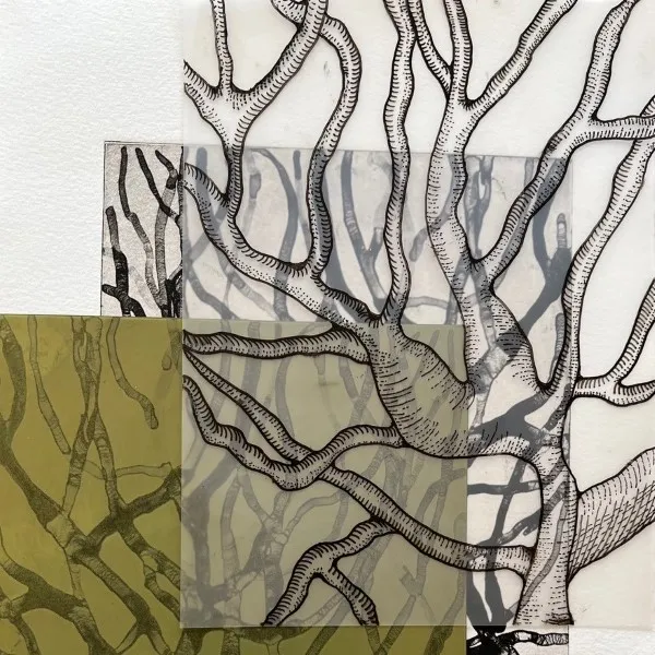 Beginner/Intermediate Printmaking: Solar Plate Prints