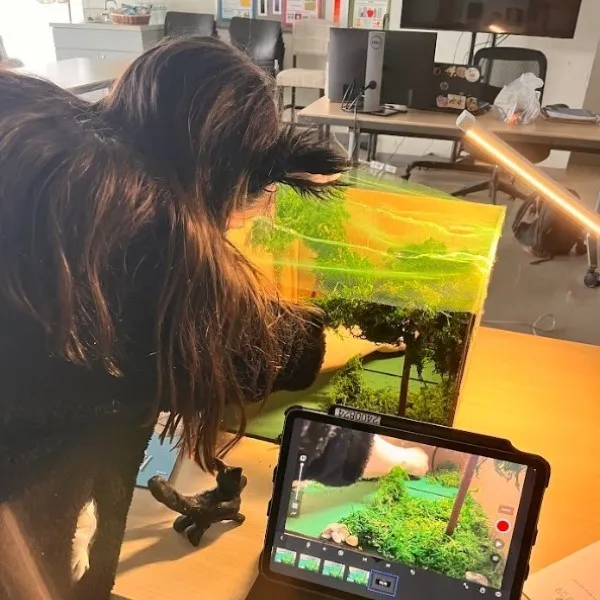 Stop Motion Animation
