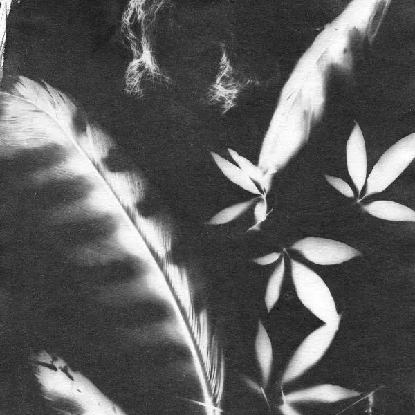 Photography Workshop: Spooky Photograms