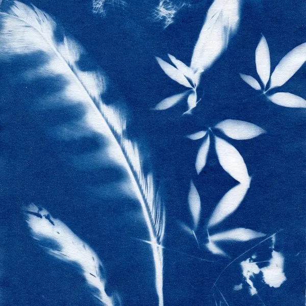 Photography Workshop: Cyanotypes