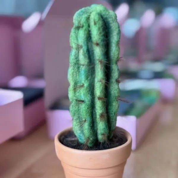 Introduction to Needle Felting: Cactus in a Pot