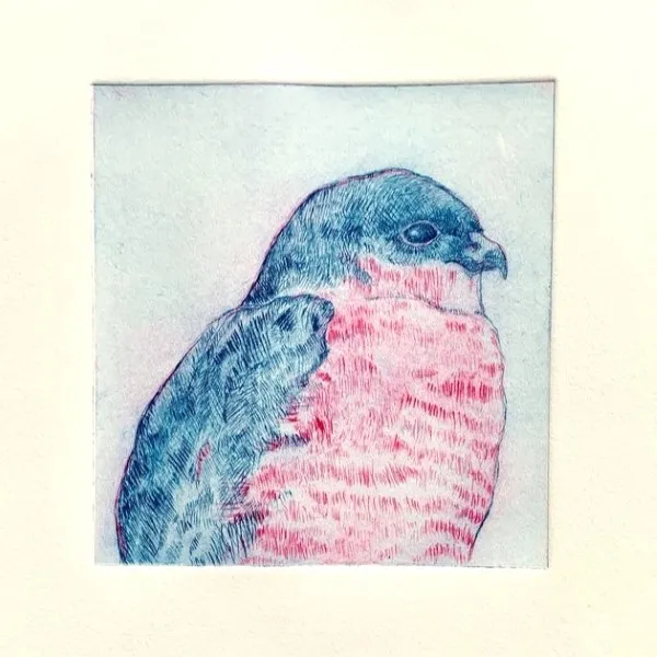 Beginner/Intermediate Printmaking: Etching and Drypoint