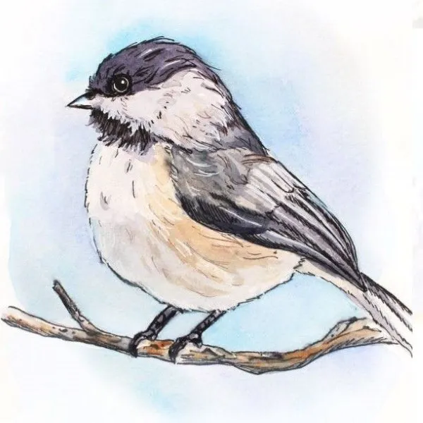 Beginning/Intermediate Painting: Watercolor & Pen Illustration