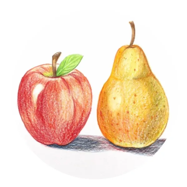 Beginner/Intermediate Drawing: Colored Pencils and Pastels