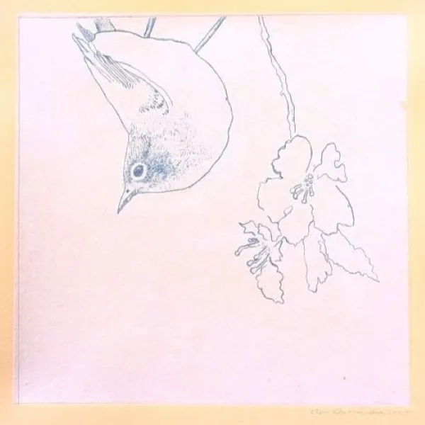 Printmaking Workshop: Birding In Drypoint