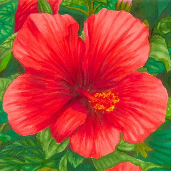 Drawing Workshop: Colorful Blending with Alcohol Markers