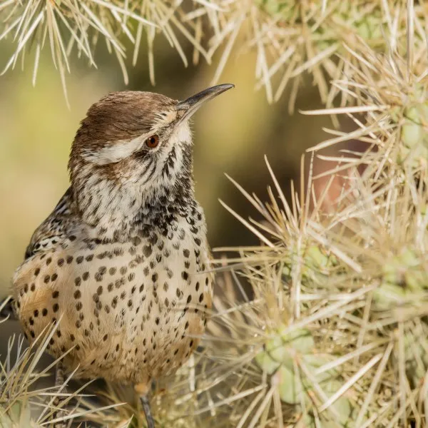 How to Take Beautiful Photos with Any Camera