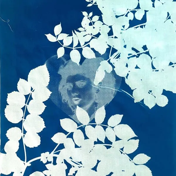 Beginner Photography: Cyanotypes