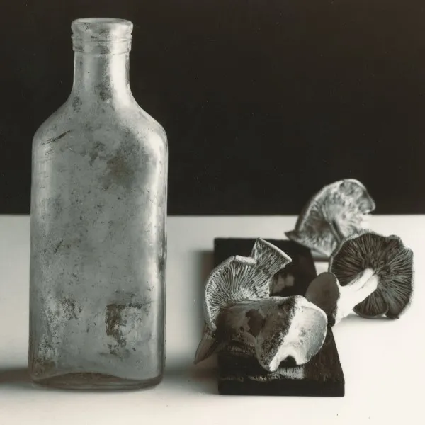 Lighting for Still Life and Artwork