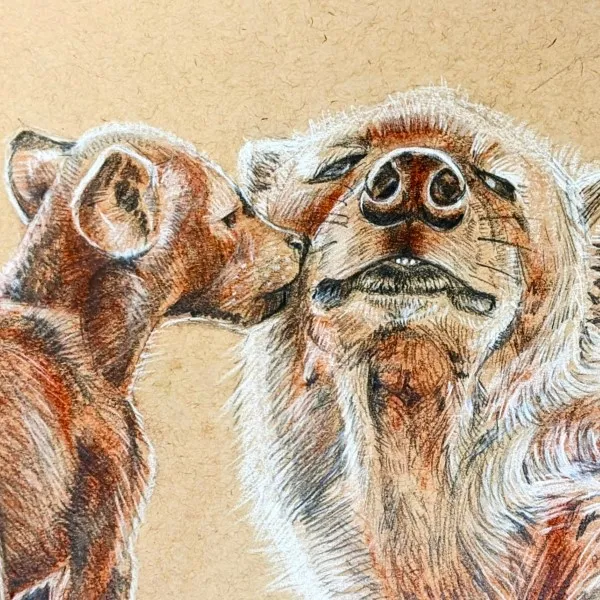 Beginner/Intermediate Drawing: Animal Portraits