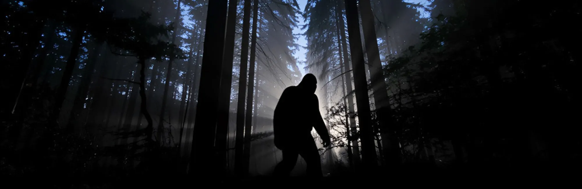 A Day of Bigfoot with Dr. Mireya Mayor, Russell Acord and Cliff Barackman