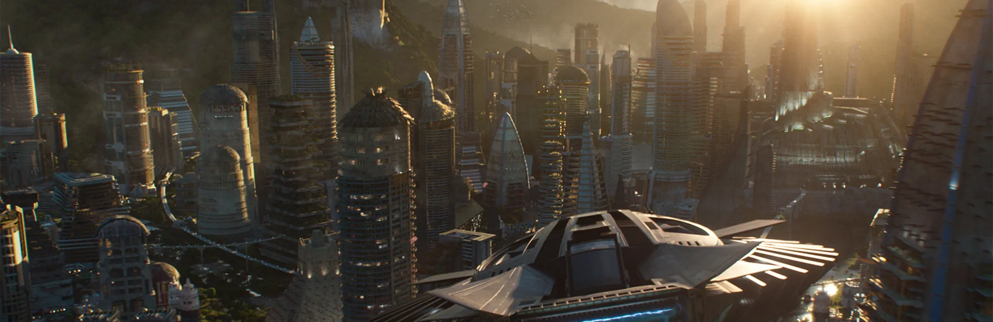 Black Panther In Concert