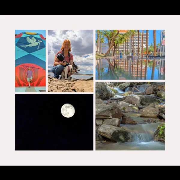 Secrets to Great Smartphone Photography