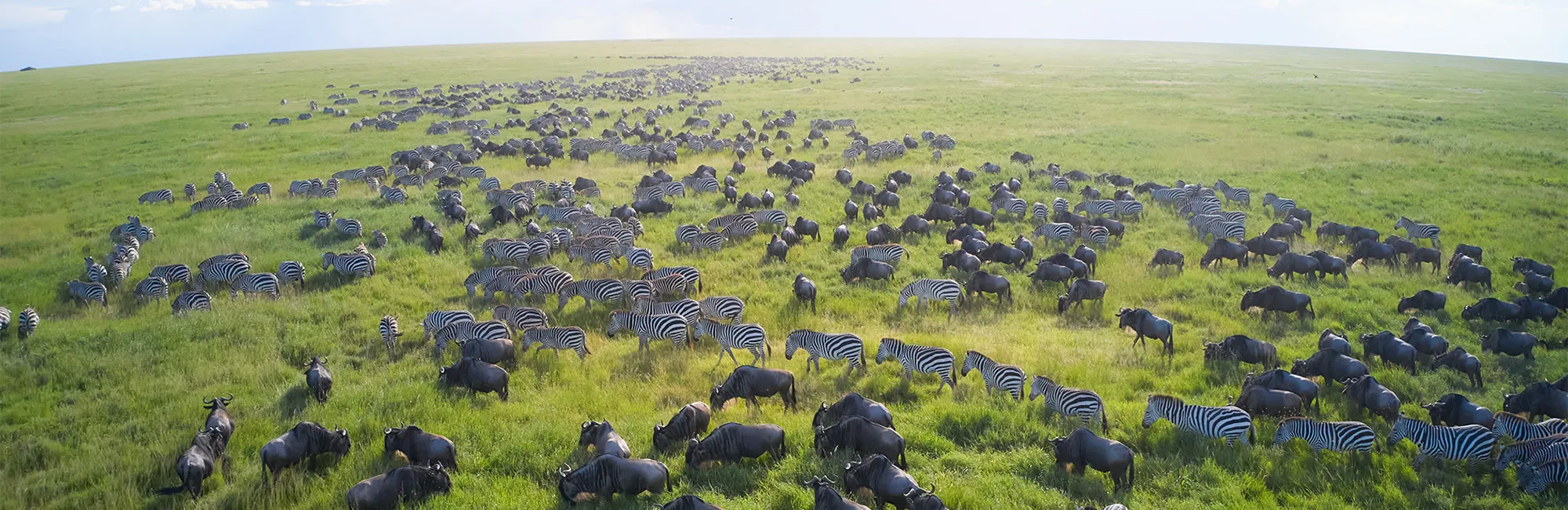 Show Listing Slider slide 3