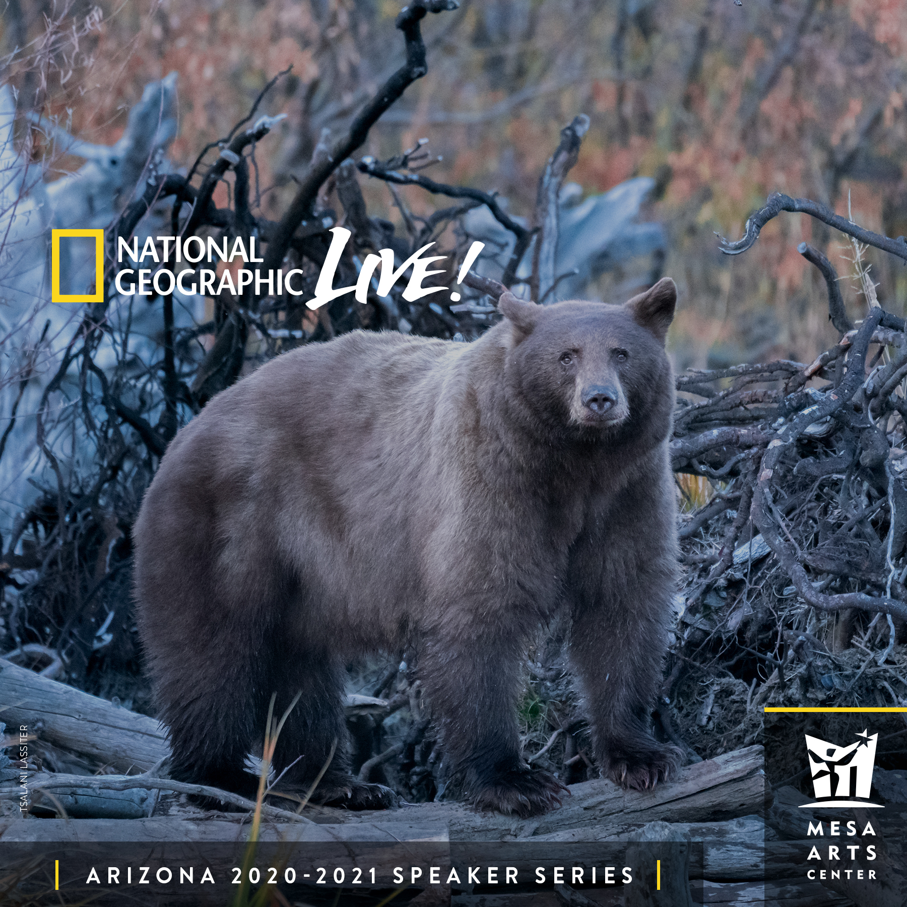 NATIONAL GEOGRAPHIC LIVE SEASON TICKETS Arizona Phoenix Image